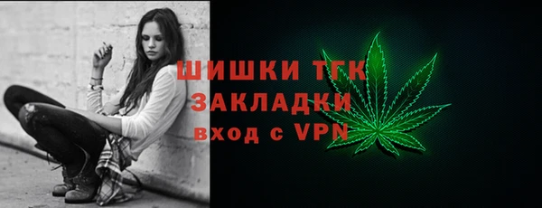 амф Арсеньев