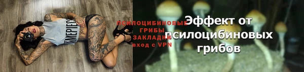 мяу мяу мука Каменногорск