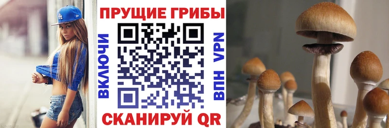 наркошоп  Осташков  Галлюциногенные грибы мицелий 